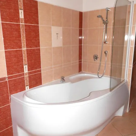 Spacious Below Spilberk Castle 公寓