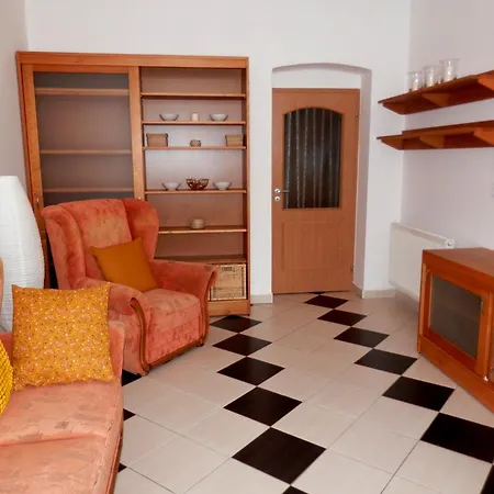 Appartement Spacious Below Spilberk Castle *