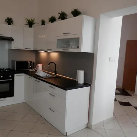 Spacious Below Spilberk Castle Apartment Brno