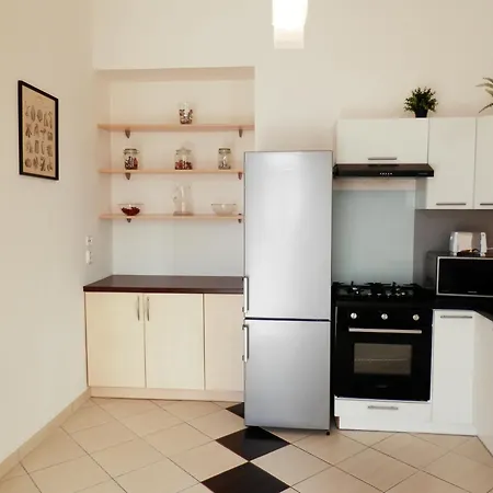 Apartment Spacious Below Spilberk Castle *