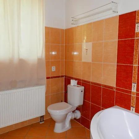 Apartment Spacious Below Spilberk Castle