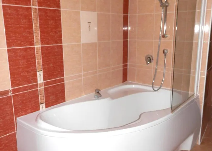 Spacious Below Spilberk Castle Apartment