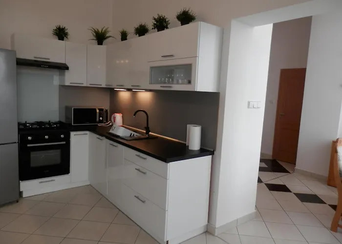 Spacious Below Spilberk Castle Apartment Brno