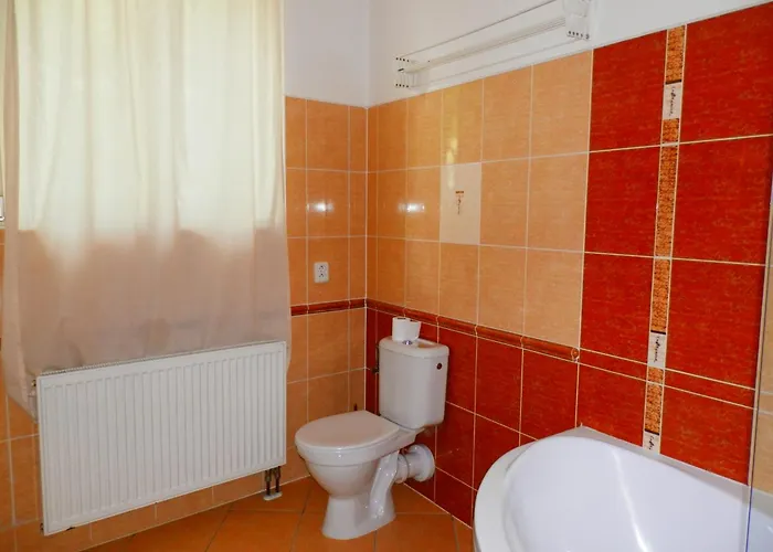 Apartment Spacious Below Spilberk Castle